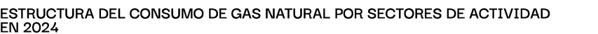 EstructurA del consumo de gAs nAturAl por sectores de ActividAd en 2024