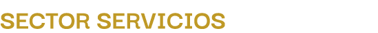 Sector servicios