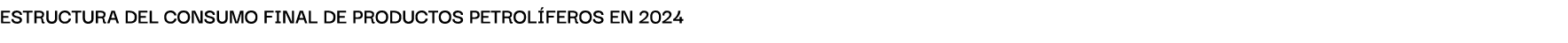 EstructurA del consumo finAl de productos petrol feros en 2024