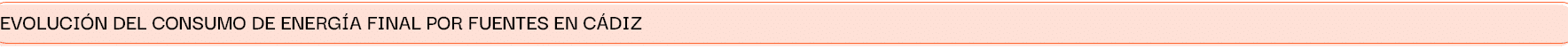 Evoluci n del consumo de energ A finAl por fuentes en c diz