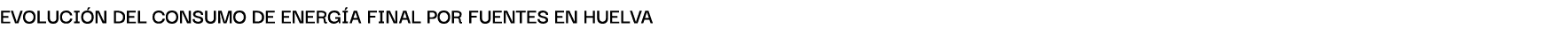 Evoluci n del consumo de energ A finAl por fuentes en huelvA