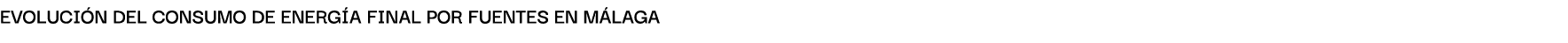 Evoluci n del consumo de energ A finAl por fuentes en M LAGA