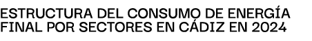 EstructurA del consumo de energ A finAl por sectores en c diz en 2024