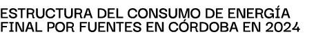 EstructurA del consumo de energ A finAl por fuentes en C RDOBA en 2024