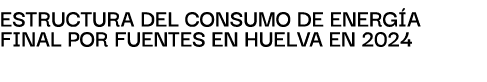 EstructurA del consumo de energ A finAl por fuentes en HUELVA en 2024