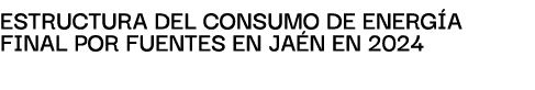 EstructurA del consumo de energ A finAl por fuentes en JA N en 2024