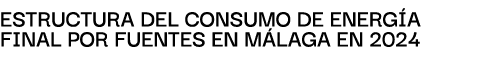 EstructurA del consumo de energ A finAl por fuentes en M LAGA en 2024