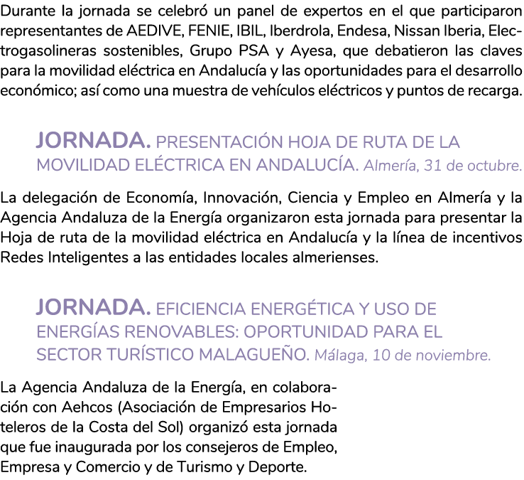 Durante la jornada se celebr  un panel de expertos en el que participaron representantes de AEDIVE  FENIE  IBIL  Iber   