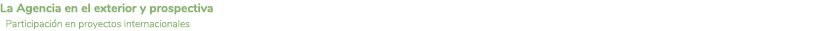 La Agencia en el exterior y prospectiva Participaci n en proyectos internacionales