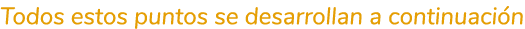 Todos estos puntos se desarrollan a continuaci n