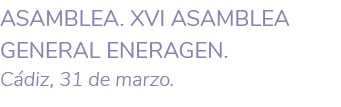 ASAMBLEA  XVI Asamblea General EnerAgen  C diz  31 de marzo  