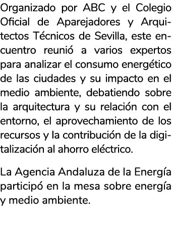 Organizado por ABC y el Colegio Oficial de Aparejadores y Arquitectos T cnicos de Sevilla  este encuentro reuni  a va   
