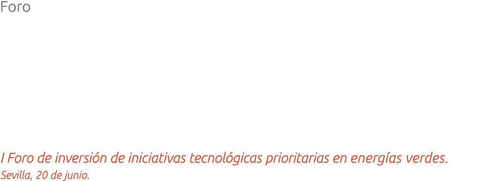 Foro  I Foro de inversi n de iniciativas tecnol gicas prioritarias en energ as verdes  Sevilla  20 de junio  
