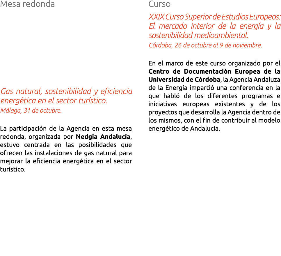 Mesa redonda Gas natural  sostenibilidad y eficiencia energ tica en el sector tur stico  M laga  31 de octubre  La pa   