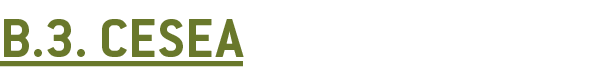  B 3  CESEA 
