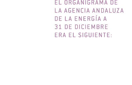 El organigrama de la Agencia Andaluza de la Energ a a        31 de diciembre era el siguiente  