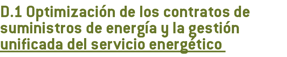 D 1 Optimizaci n de los contratos de suministros de energ a y la gesti n unificada del servicio energ tico 