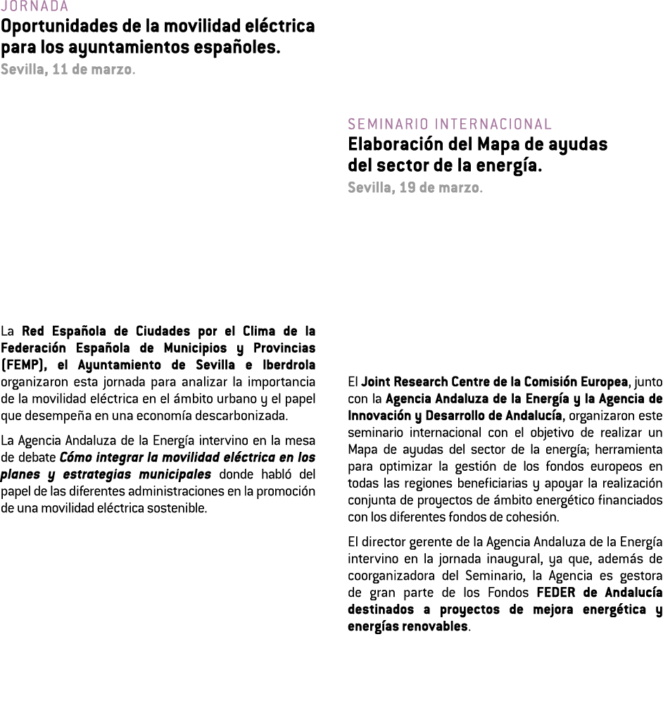 Jornada Oportunidades de la movilidad el ctrica para los ayuntamientos espa oles  Sevilla  11 de marzo  La Red Espa o   