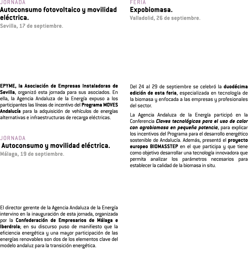 Jornada Autoconsumo fotovoltaico y movilidad el ctrica  Sevilla  17 de septiembre  EPYME  la Asociaci n de Empresas I   
