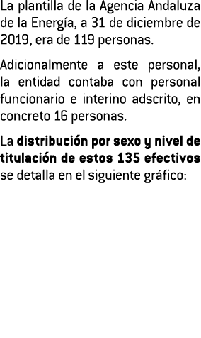 La plantilla de la Agencia Andaluza de la Energ a  a 31 de diciembre de 2019  era de 119 personas  Adicionalmente a e   