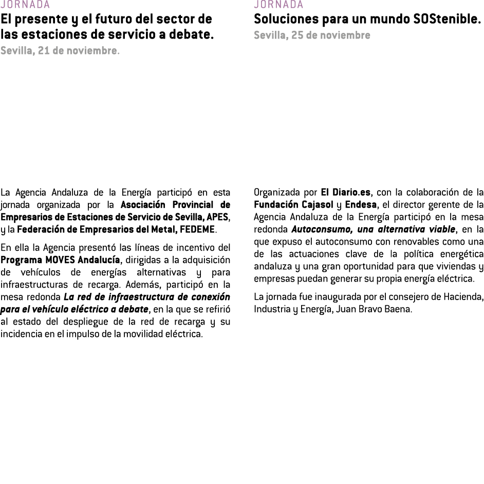 Jornada El presente y el futuro del sector de las estaciones de servicio a debate  Sevilla  21 de noviembre  La Agenc   