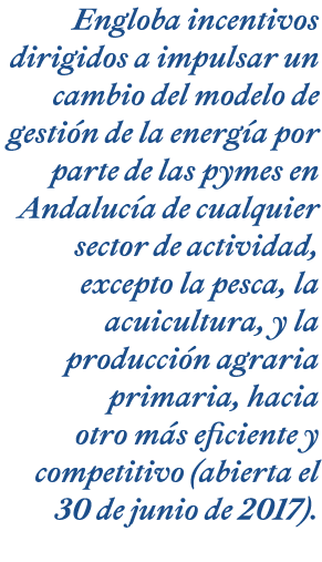 Engloba incentivos dirigidos a impulsar un cambio del modelo de gesti n de la energ a por parte de las pymes en Andal   