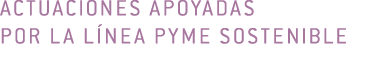 actuaciones apoyadas            por la l nea pyme sostenible 