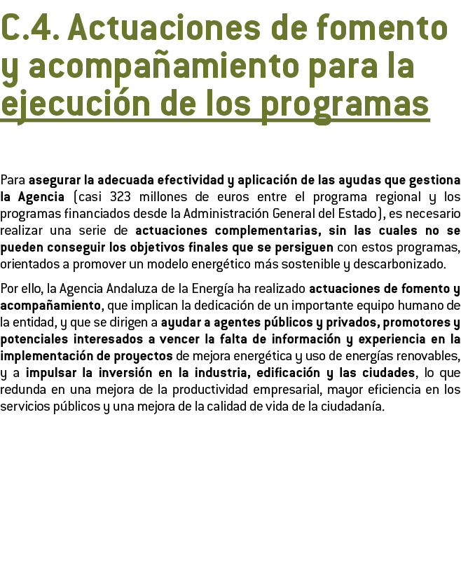  C 4  Actuaciones de fomento y acompa amiento para la ejecuci n de los programas Para asegurar la adecuada efectivida   
