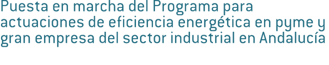 Puesta en marcha del Programa para actuaciones de eficiencia energ tica en pyme y gran empresa del sector industrial    