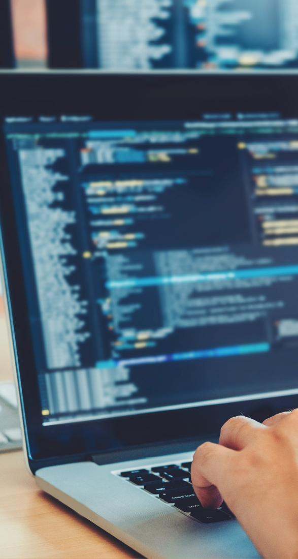 Developing programmer Development Website design and coding technologies working in software company office