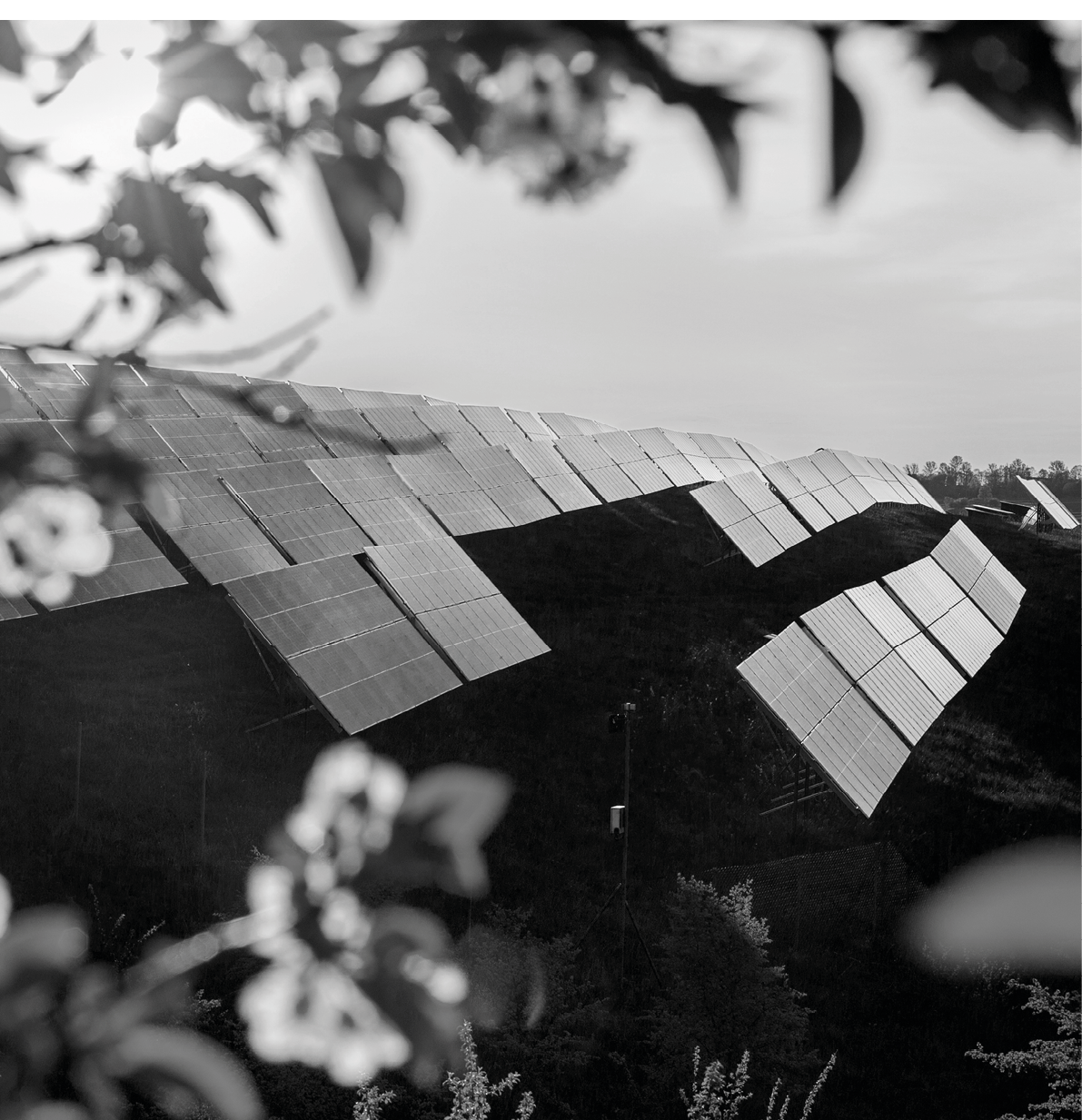 Garden blooming tree in the garden and solar panelsat sunset light. Extraction of solar energy, green alternative.