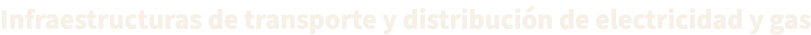 Infraestructuras de transporte y distribuci n de electricidad y gas