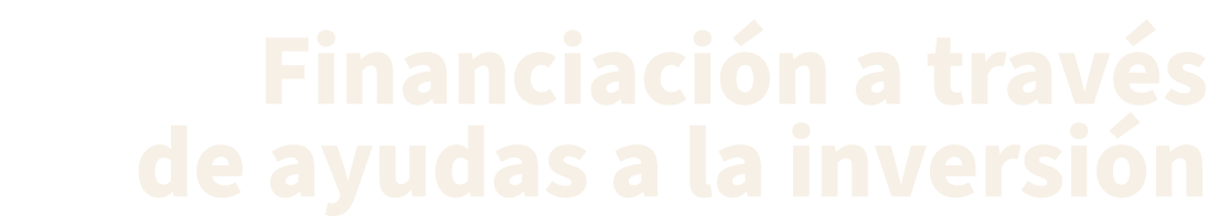 Financiaci n a trav s de ayudas a la inversi n 