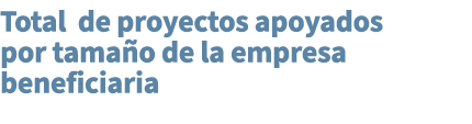 Total de proyectos apoyados por tama o de la empresa beneficiaria