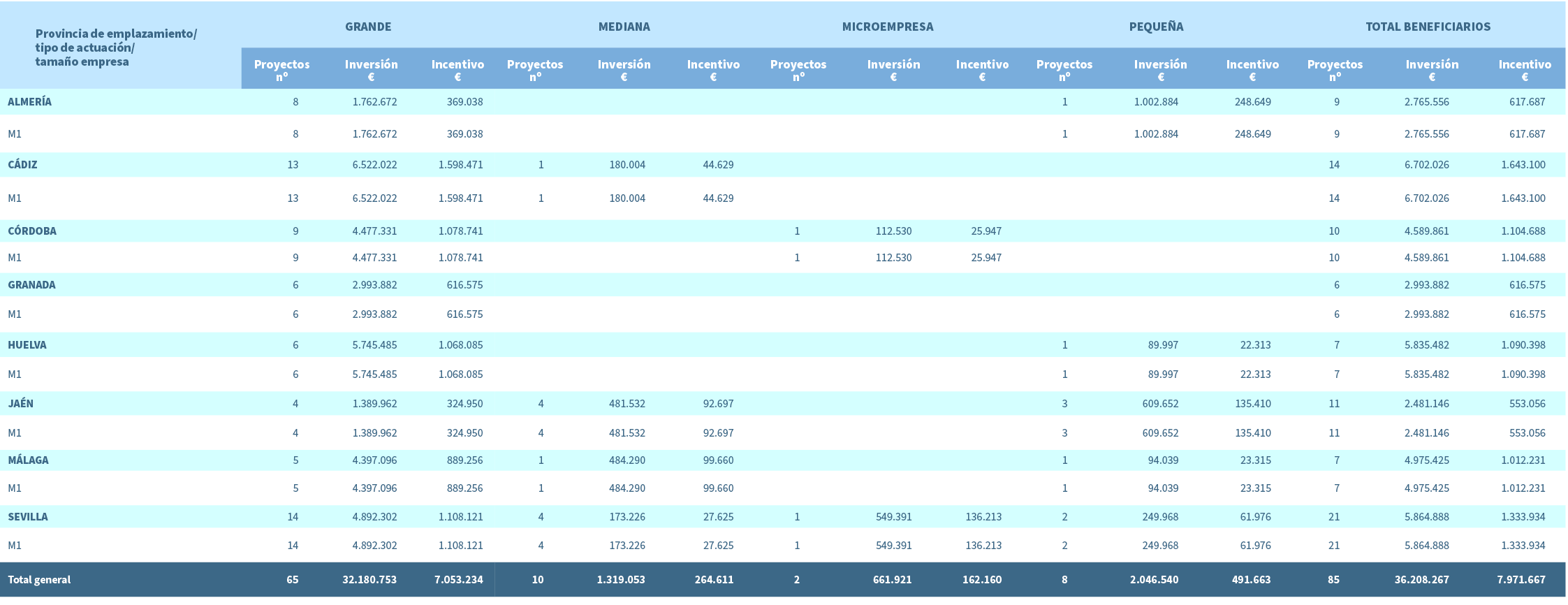 Provincia de emplazamiento/ tipo de actuaci n/ tama o empresa,GRANDE,MEDIANA,MICROEMPRESA,PEQUE A,TOTAL BENEFICIARIOS...