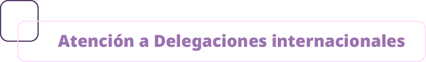 Atenci n a Delegaciones internacionale