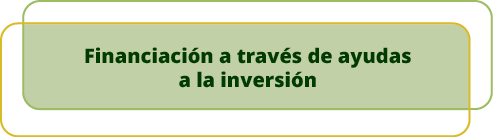 Financiaci n a trav s de ayudas a la inversi 