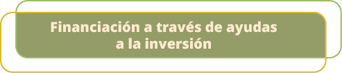 Financiaci n a trav s de ayudas a la inversi 