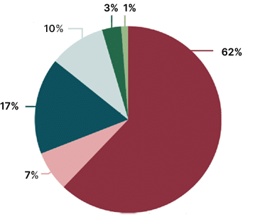 1%,3%,10%,17%,7%,62