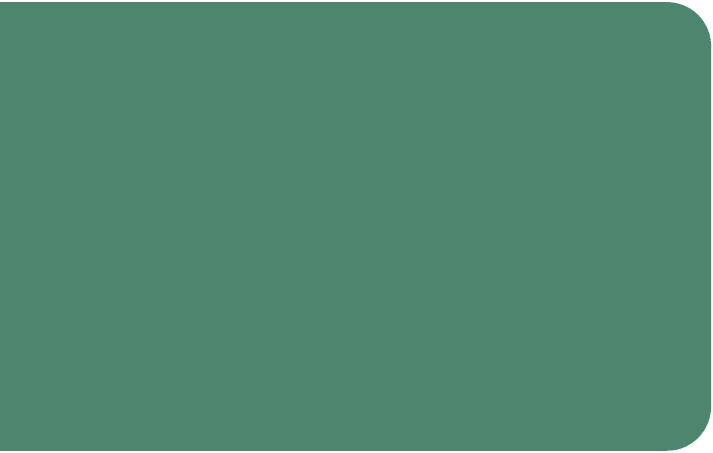 Color_P2