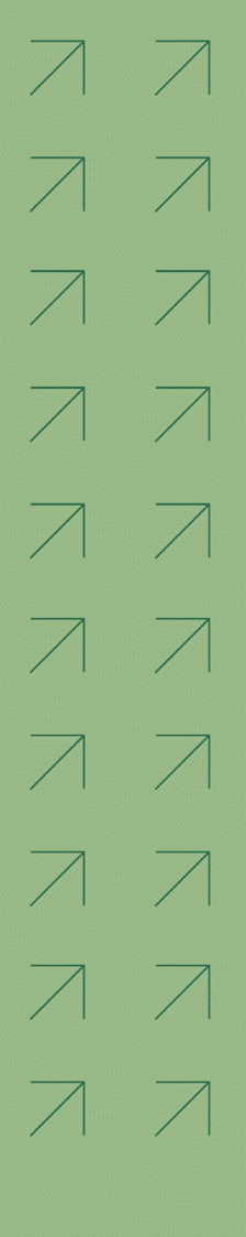 Group
