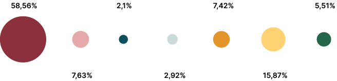 5,51%,15,87%,7,42%,2,92%,2,1%,7,63%,58,56