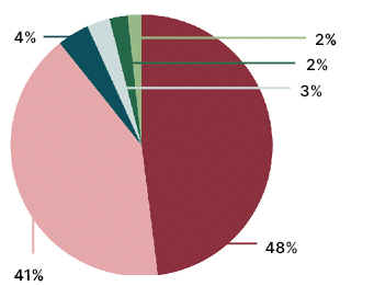 2%,2%,3%,4%,41%,48