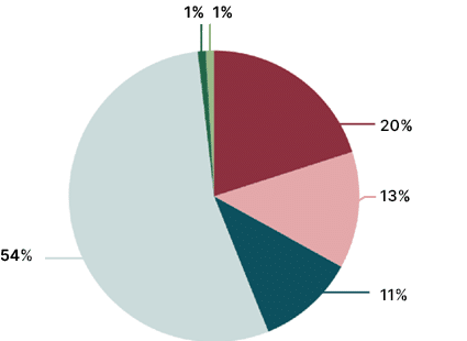 1%,1%,54%,11%,13%,20
