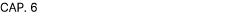 CAP. 6