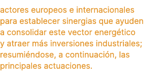actores europeos e internacionales para establecer sinergias que ayuden a consolidar este vector energ tico y atraer ...