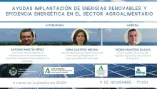 Cartela ayudas implantacion energias renovables.jpg