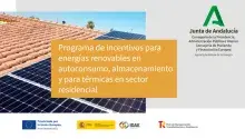 Jornada autoconsumo.png