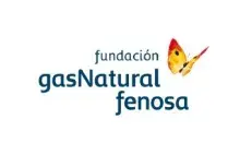 Gas natural.jpg