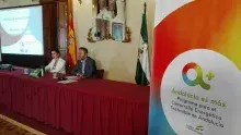 Jornada aae redes inteligentes hoja ruta movilidad sostenible 6.jpg